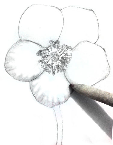 Drawing Spring Flowers - How to Draw Spring Flowers For the Beginner