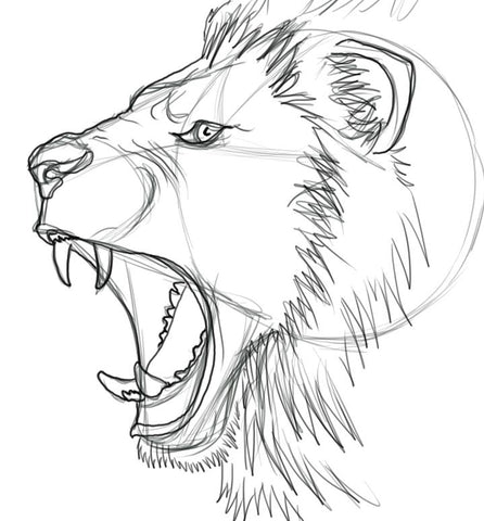 how do you draw a lion roaring