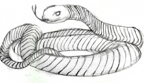 Reptile Sketches in Pencil - pencil drawing post - Imgur