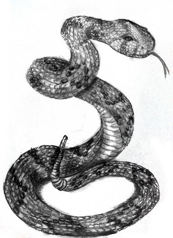 Drew my first kinda realistic snake :) : r/drawing