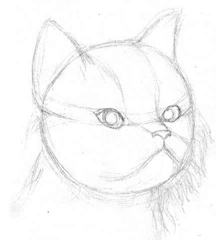 Draw Cat | Cat Drawing in Colour Pencils by ddrawanart on DeviantArt