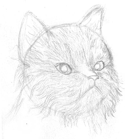 Cat Drawing Images | Free Photos, PNG Stickers, Wallpapers & Backgrounds -  rawpixel