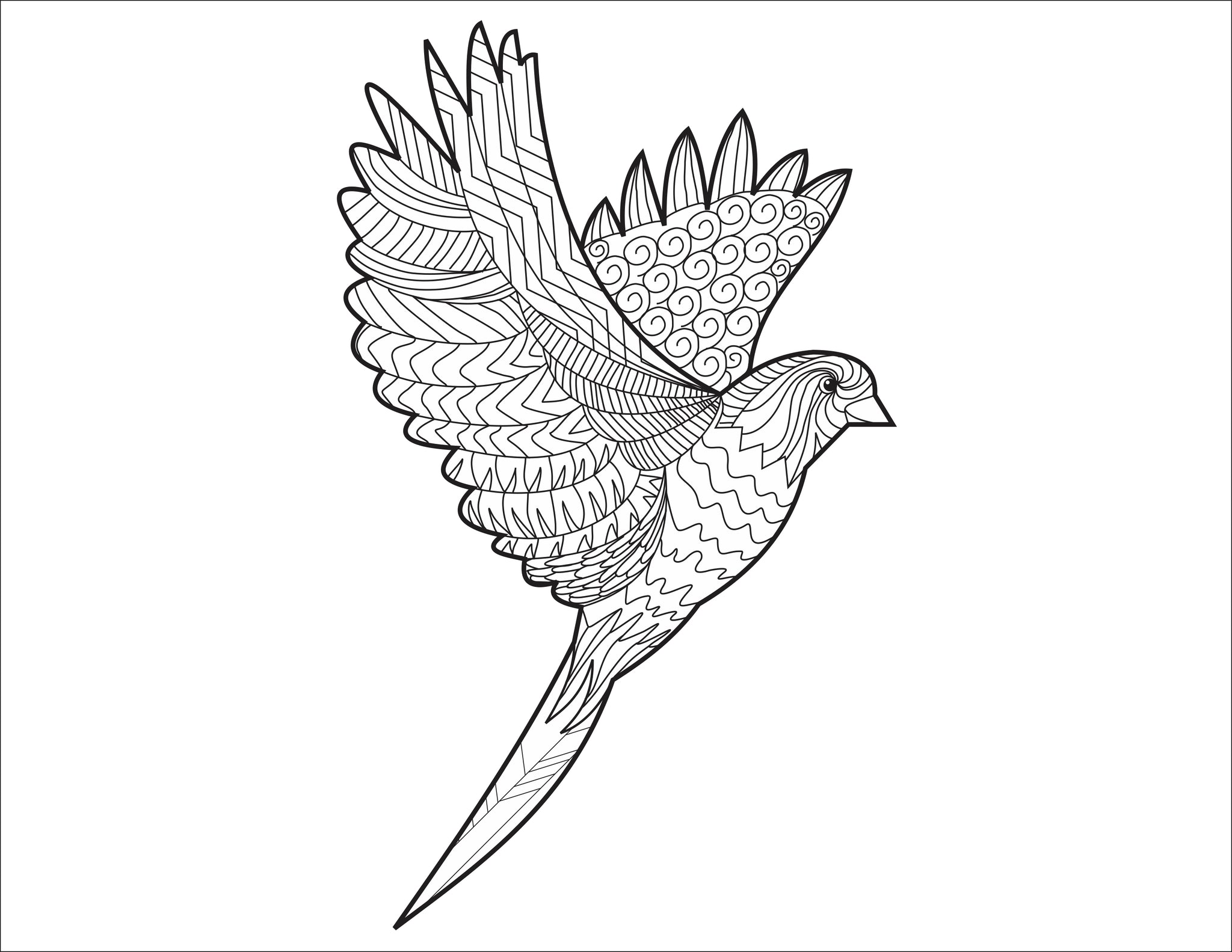 Download Adult Coloring Book Bird Pattern For Beginners Learn To Draw Books