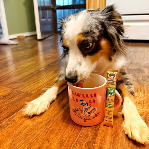 Brutus Bone Broth in a mug