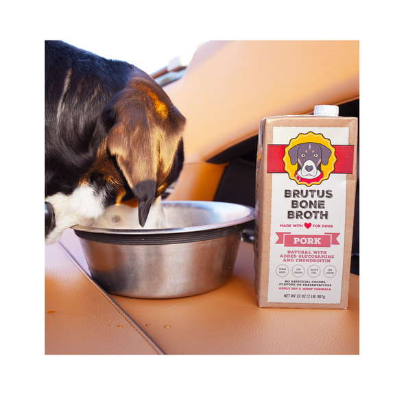 Pork Brutus Bone Broth box standing next to dog food bowl. Black, brown and white dog is eating out of the food bowl.