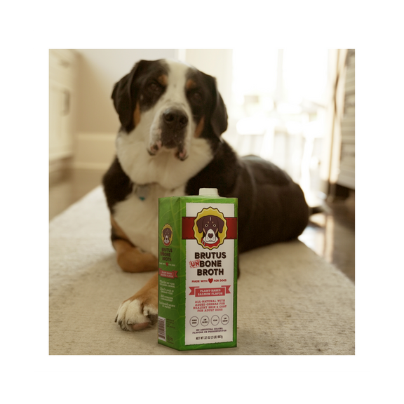 Vegetable Salmon-Flavored Brutus Un-Bone Broth box in front of large dog sitting on the floor