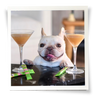 Framed white dog with a martini glass on both sides filled with Vegetable Salmon-Flavored Brutus Un-Bone Broth and 3 sticks on the counter