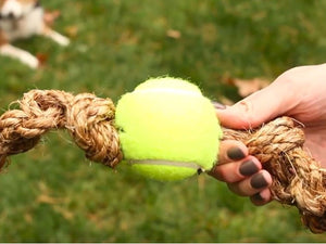 tennis ball on a rope