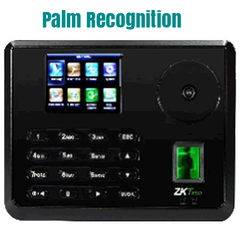 Palm recognition