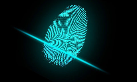 Fingerprint technology