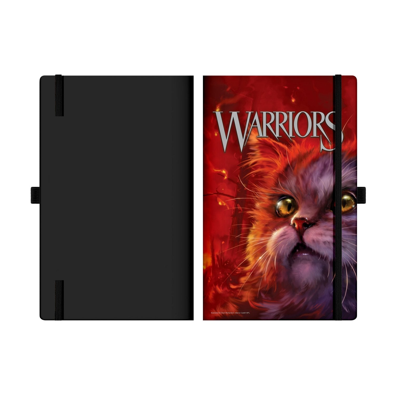 warriors cats books online