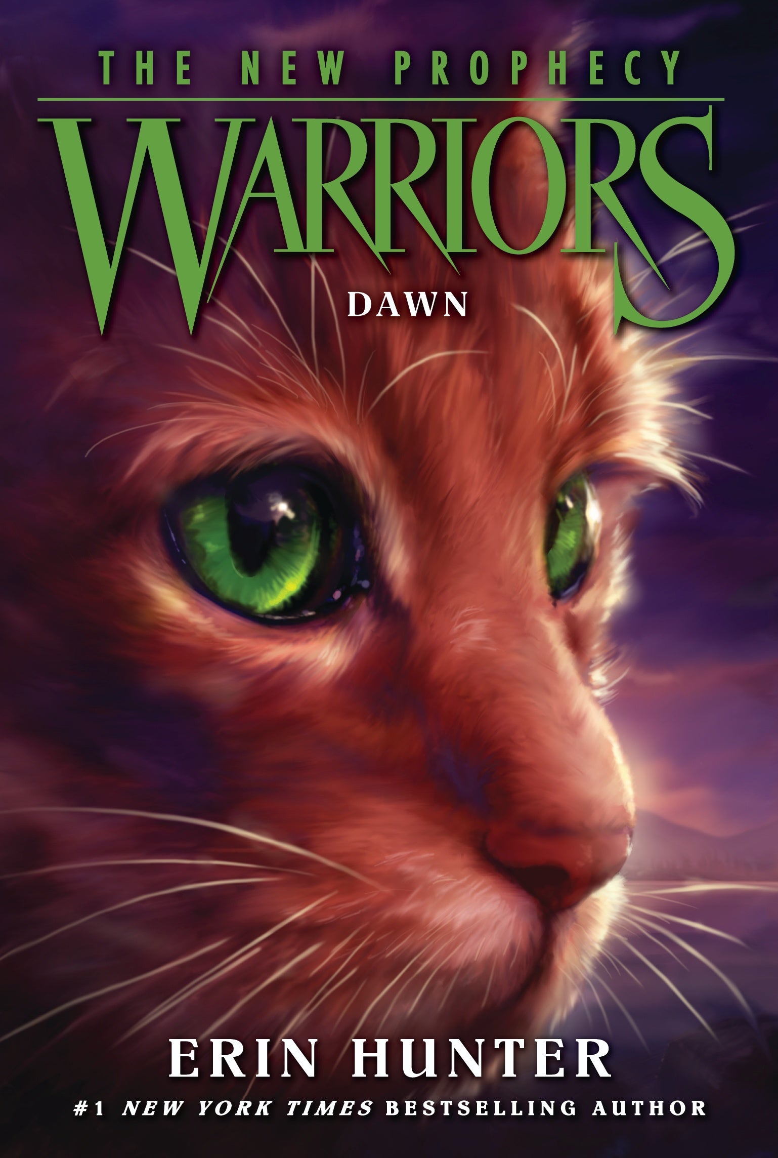 Warriors The New Prophecy Midnight Book