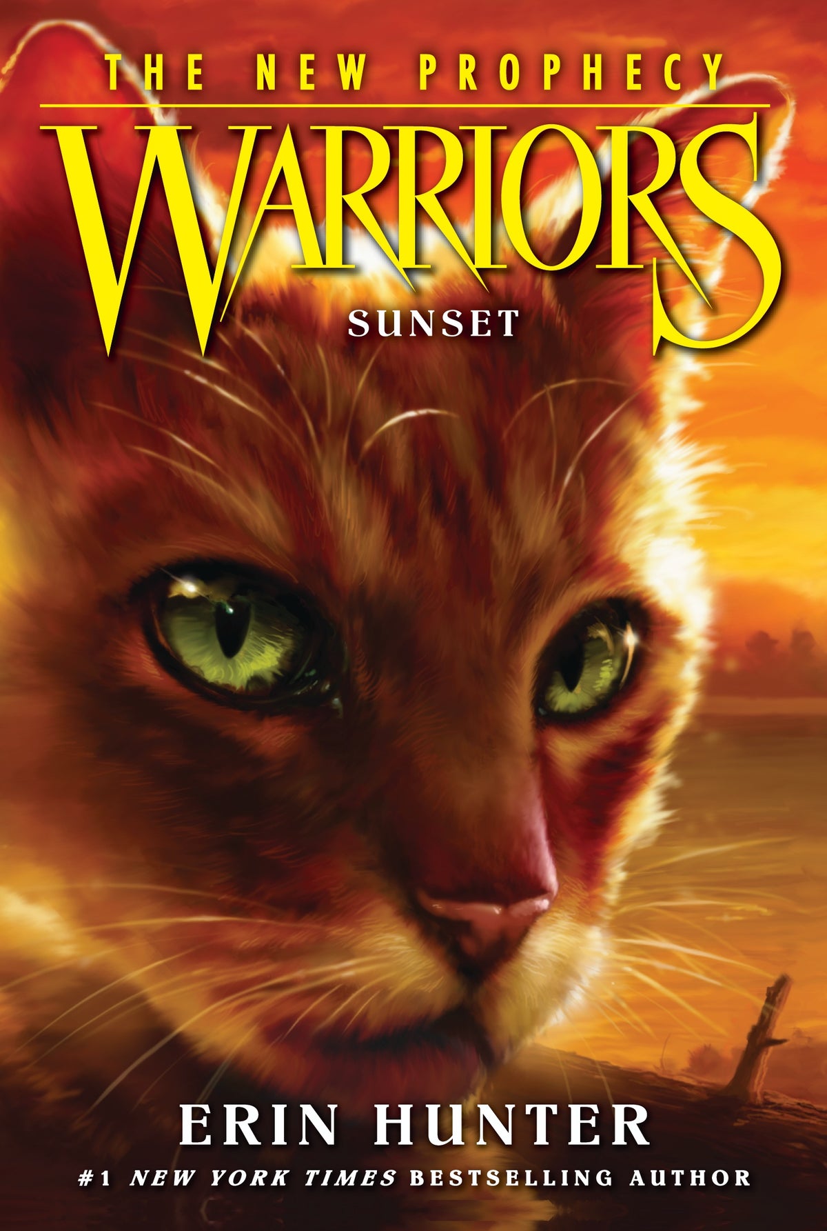 Warriors The New Prophecy Sunset Book Official Warrior Cats Store