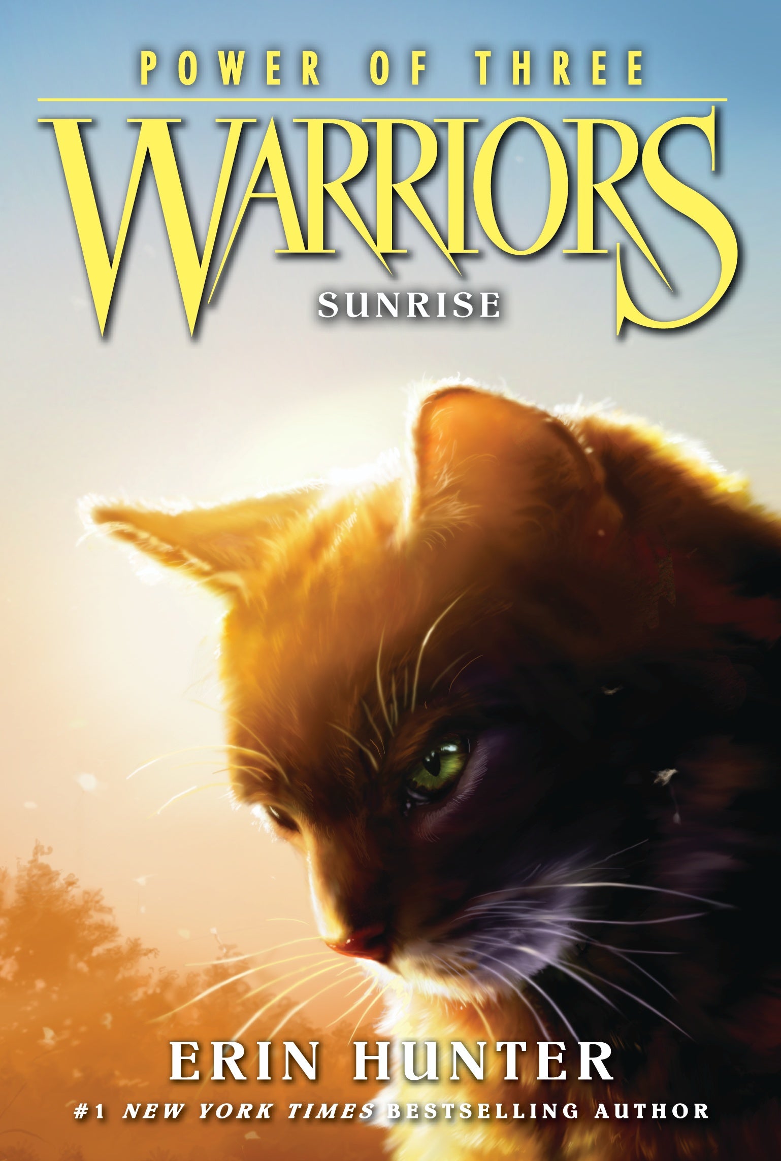 Warriors: A Starless Clan #2: Sky on Apple Books