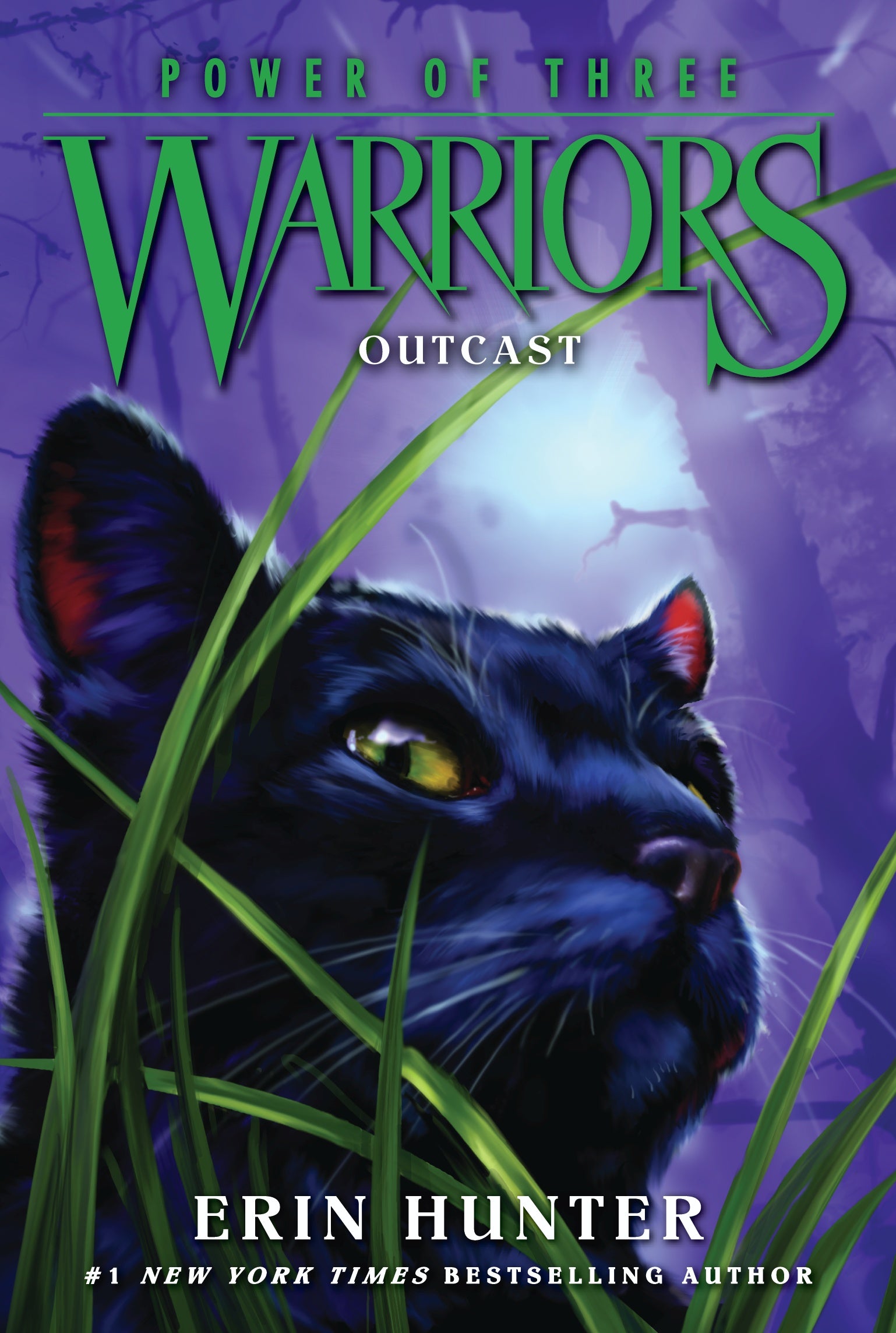 River (Warriors: A Starless Clan #1)|Paperback