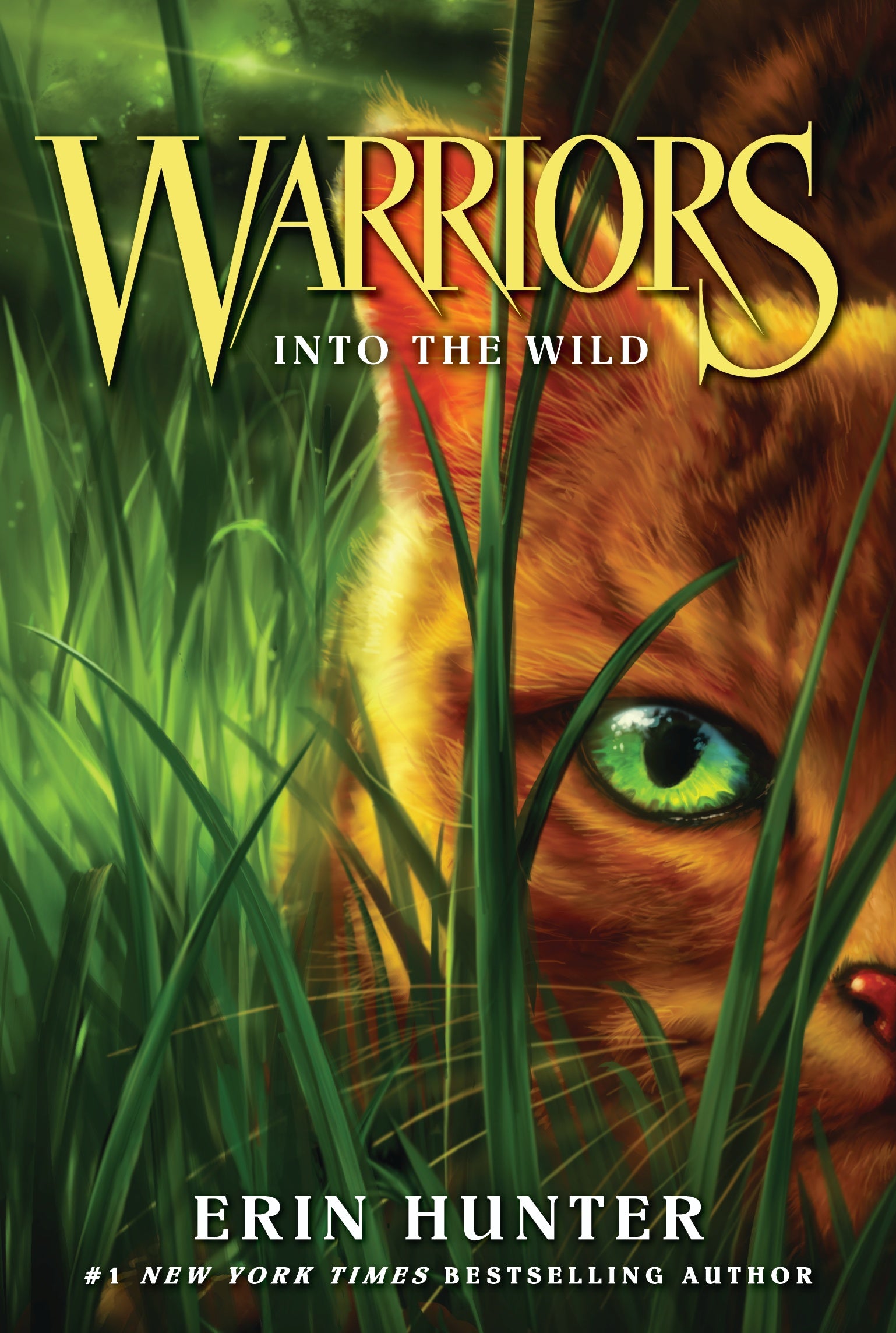 Warriors Cats books into the Wild
