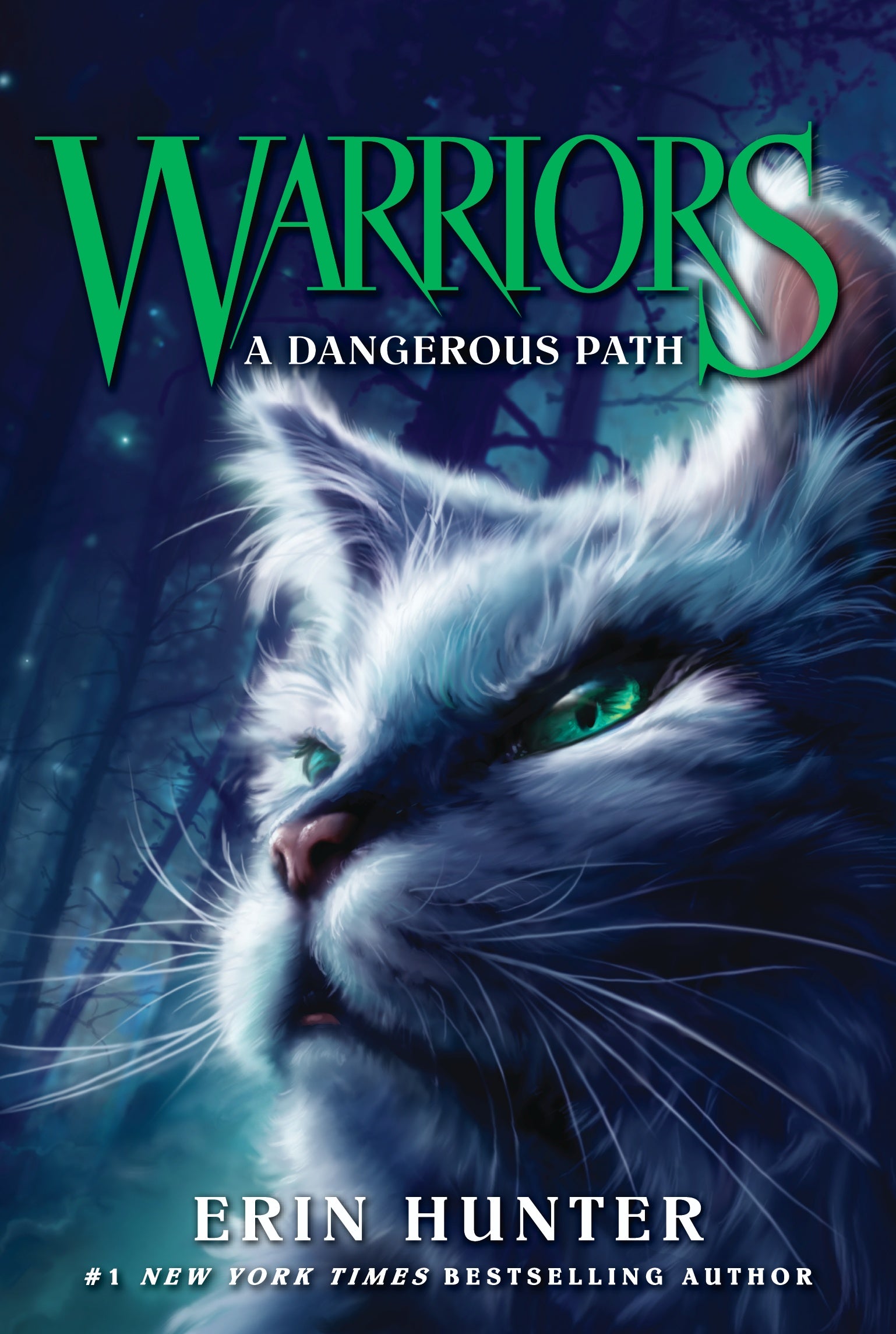 Warrior Cats Series 2 The New Prophecy by Erin Hunter 6 Books Set Midnight,  Moon 9780007931057
