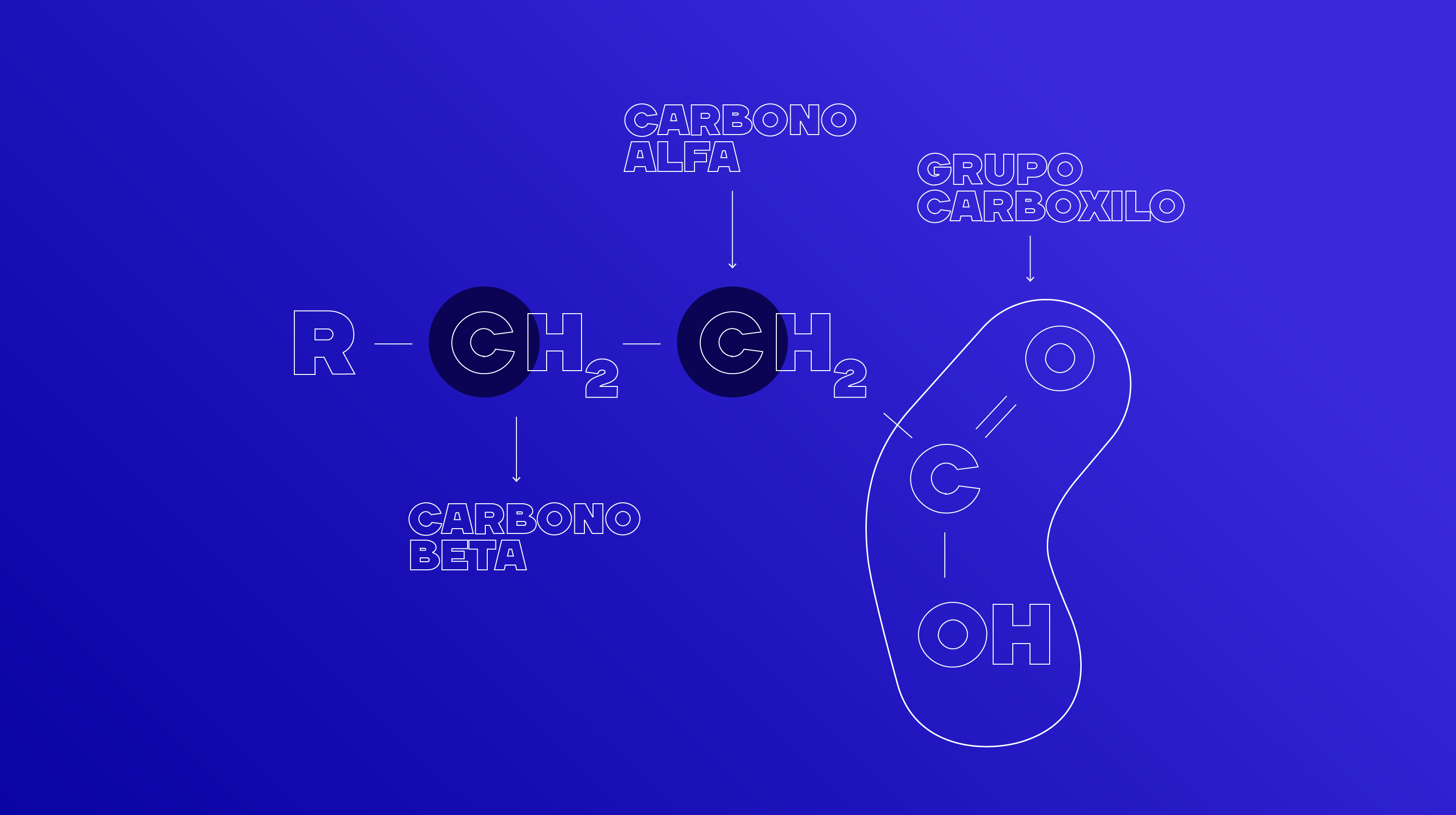 cadena carbonada-grupo carboxilo-carbono alfa-carbono beta