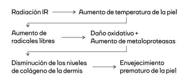 Secuencia de daño por radiación IR - The Chemist Look