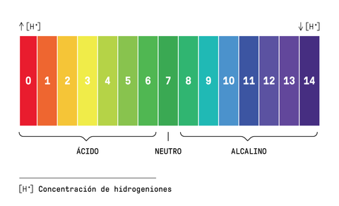 densidad Afirmar Adviento Todo sobre pH y por qué elegir productos ácidos para la piel – The Chemist  Look