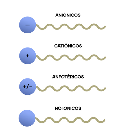 Tipos-de-tensoactivos-según-su-carga-sobre-fondo-blanco