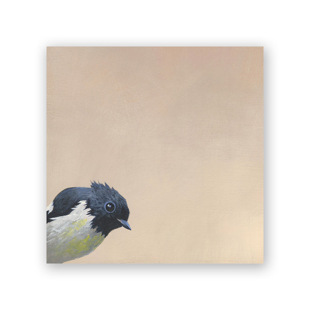6 x 6 South Island Robin Wings on Wood Decor