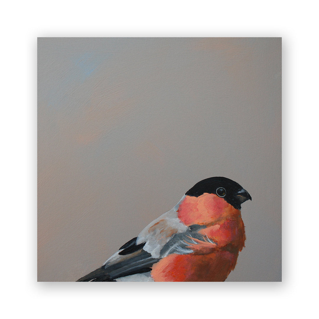 8 x 8 Bullfinch Wings on Wood Decor