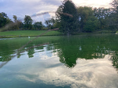 Mornings on the farm, morning reflection on the pond