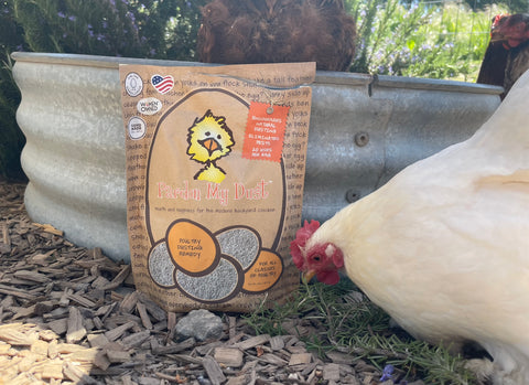 poultry dusting remedy white chicken