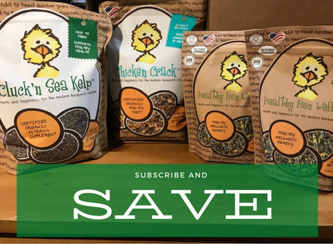 treats for chickens subscribe and save