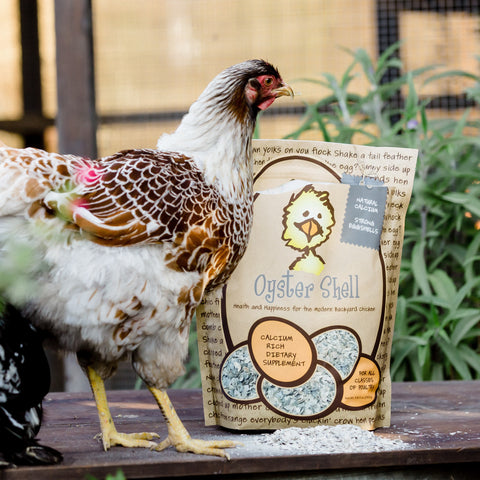 treats for chickens natural grit oyster shell