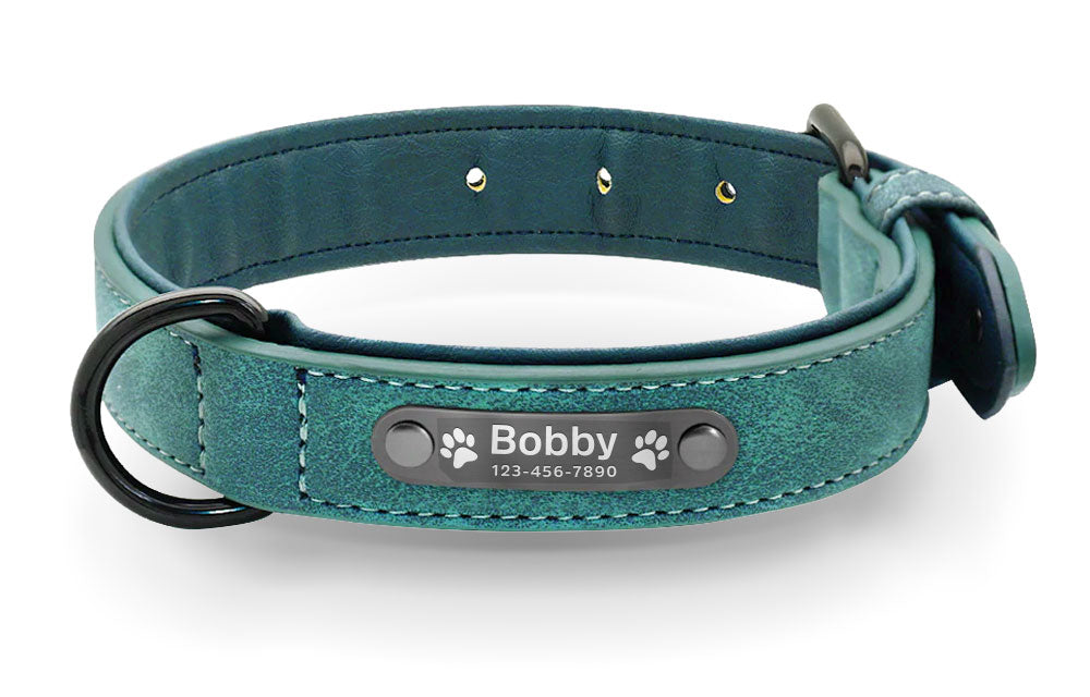 teal dog collar