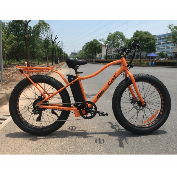 fat tire bike xl