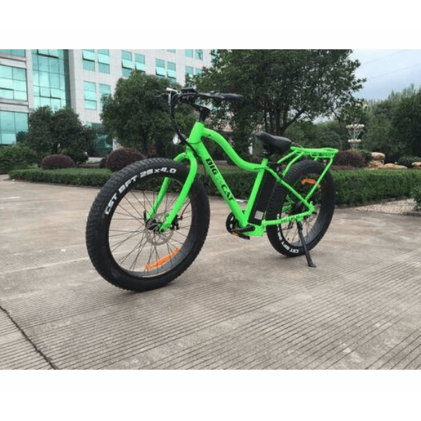 fat tire bike xl