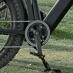 Dirwin Pioneer Fat Tire Electric Bike crankset