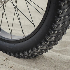 Dirwin Pioneer Step-Thru Fat Tire Electric Bike tires