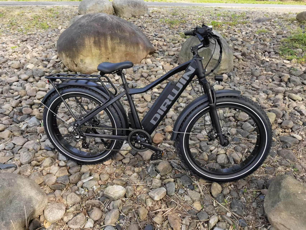 Dirwin Seeker Fat Tire Electric Bike