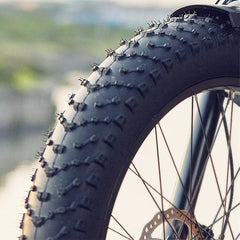 Dirwin Seeker Fat Tire Electric Bike tire