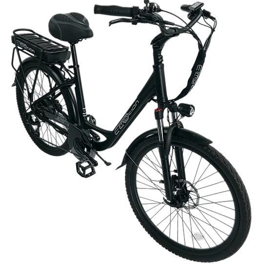 eco motion electric bike