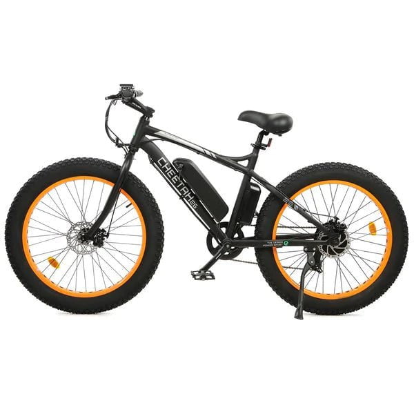 ecotric fat tire electric bike beach snow bicycle