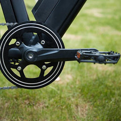 Dirwin Seeker Fat Tire Electric Bike