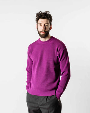 Auralee Super Hard Twist Rib Knit P/O Purple