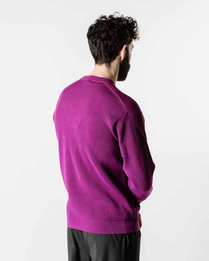 Auralee Super Hard Twist Rib Knit P/O Purple