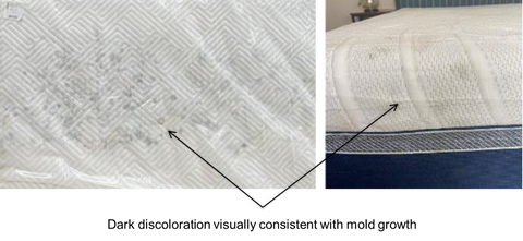 Image of mattress that shows signs of discoloration and mold growth.