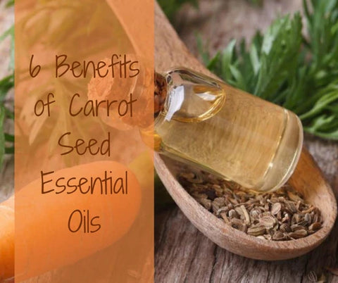 benefits of carrot seed essential oils