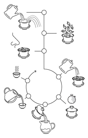 gaiwan brewing guide