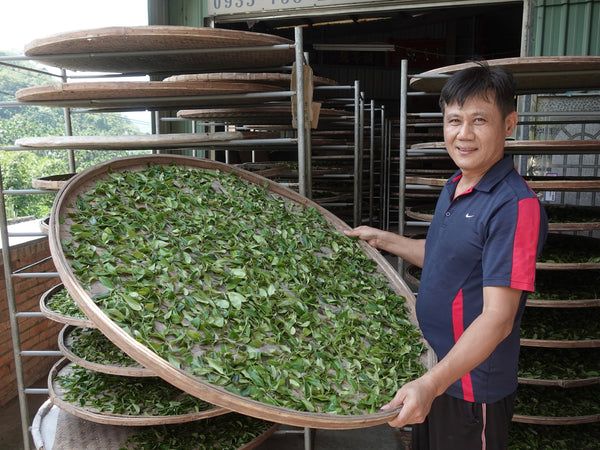 Mr. Zhou with his Sanxia Bilouchun, Formosa Green Snail