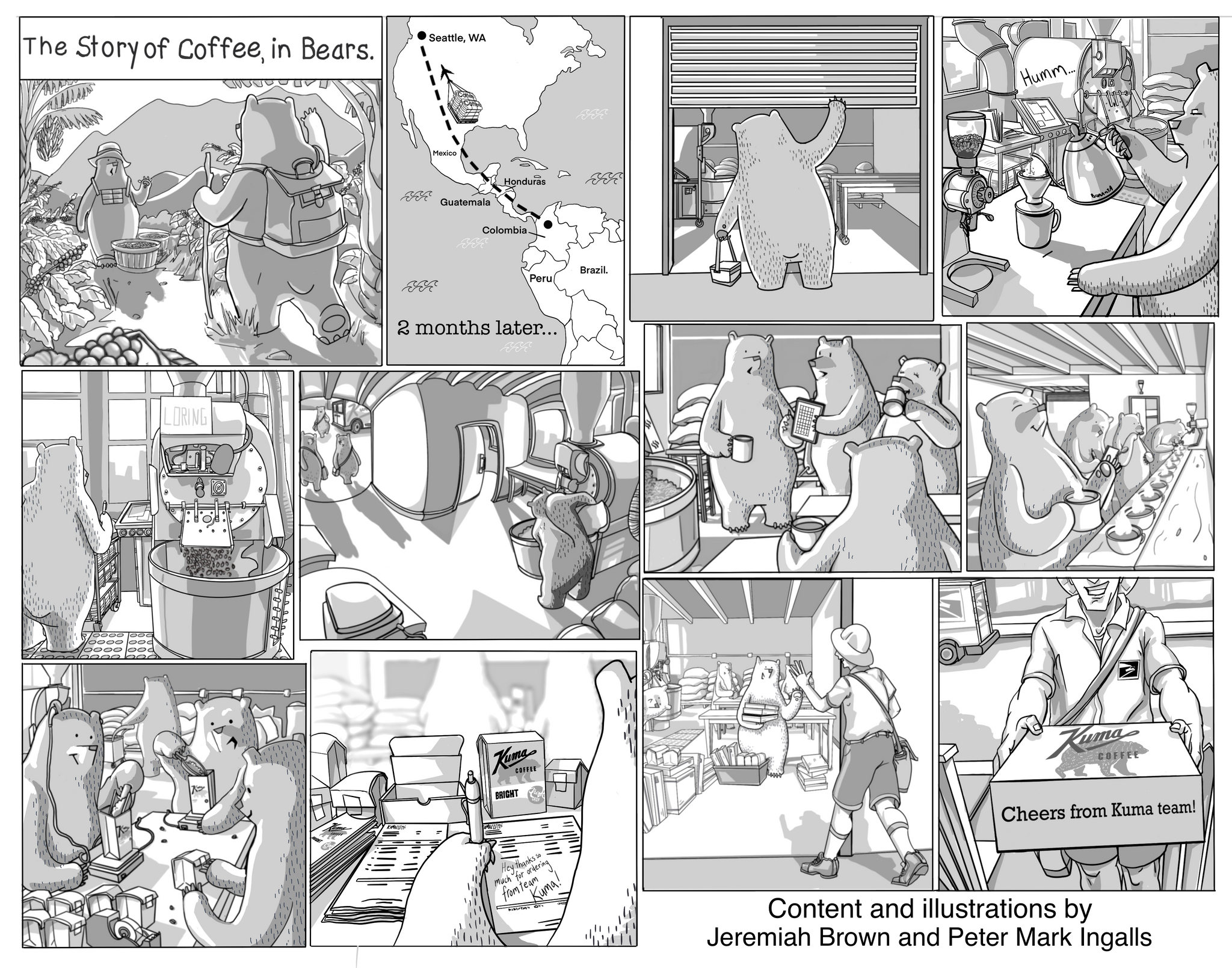 a hand drawn comic of the story of coffee, showing bear characters sourcing coffee, coffee shipping, scenes from a roastery where characters roast, pack and taste coffee. Finally the coffee going in a package and shipping with USPS to your home