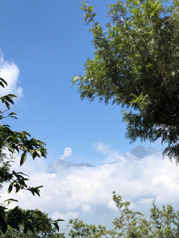 View of volcano smoking from Hunapu Microlots farms outside Ciudad Vieja, Guatemala