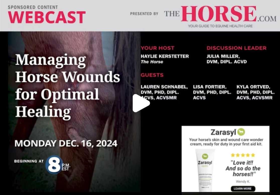 Webcast on managing horse wounds for optimal healing, scheduled for December 16, 2024.